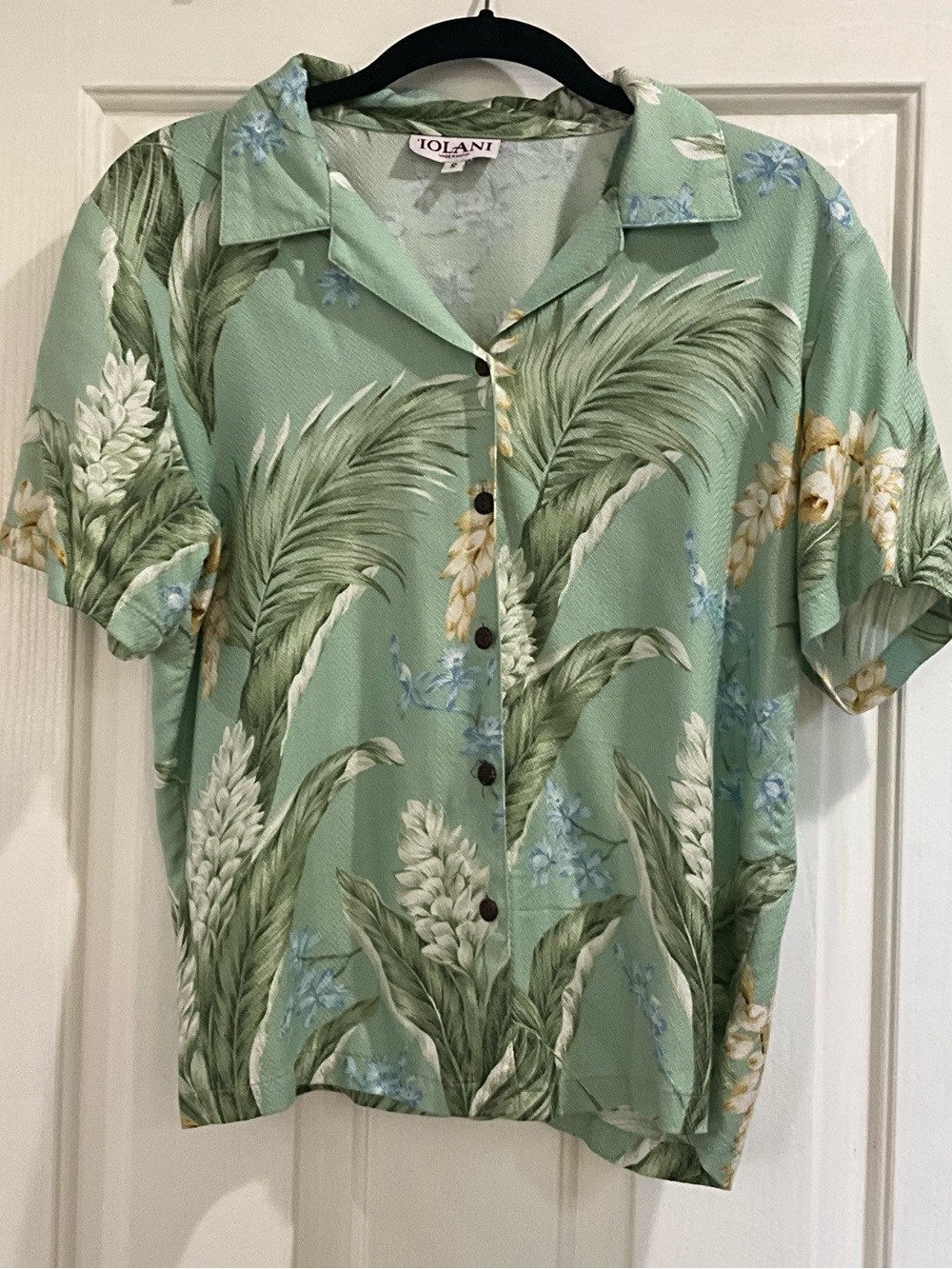 Tolani Women's Mint Green Botanical Button-Down Shirt